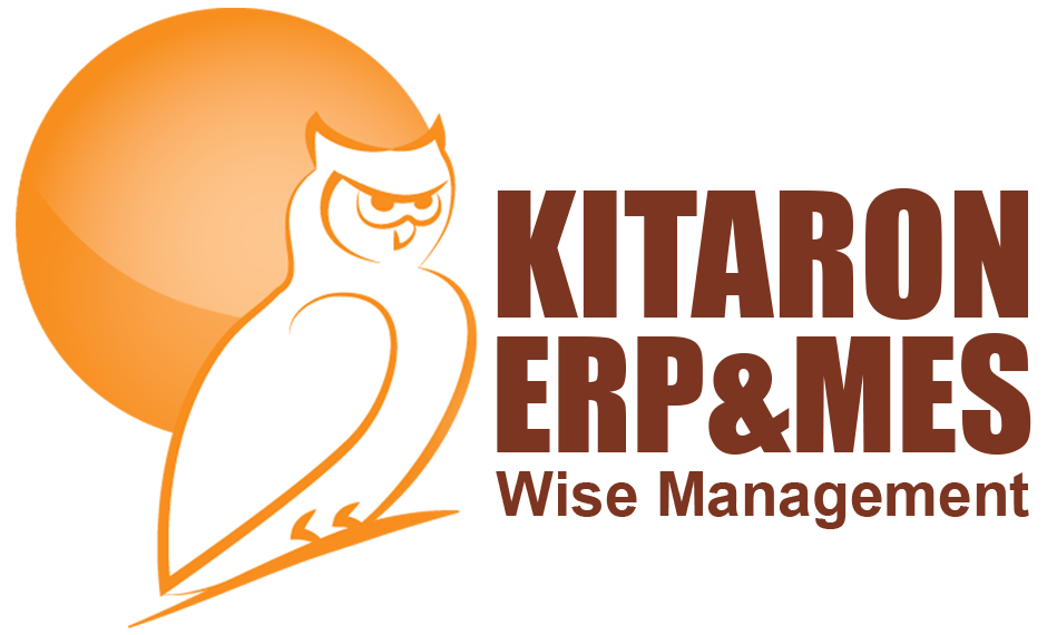 Geosoft - Kitaron - ERP&MES - All In One